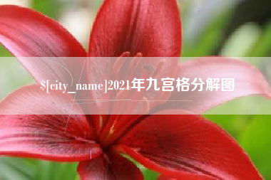 泸州2021年九宫格分解图