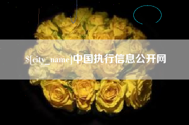 泸州中国执行信息公开网