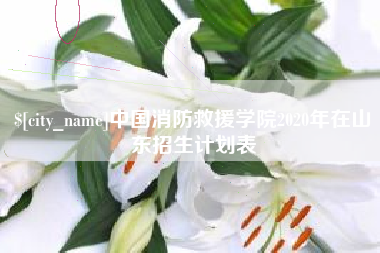 泸州中国消防救援学院2020年在山东招生计划表
