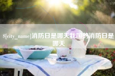 泸州消防日是哪天我国的消防日是哪天