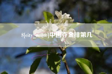 泸州中国夺金排第几