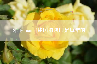 泸州我国消防日是每年的