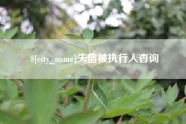 泸州失信被执行人杳询