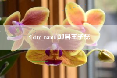 泸州邱县王子磊