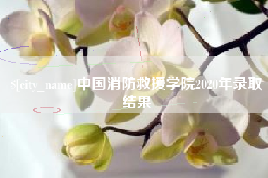 泸州中国消防救援学院2020年录取结果