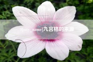 泸州九宫格的来源