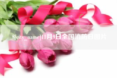 泸州11月9日全国消防日图片