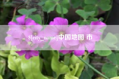泸州中国地图 市