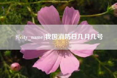 泸州我国消防日几月几号