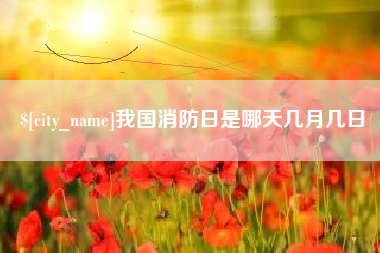 泸州我国消防日是哪天几月几日