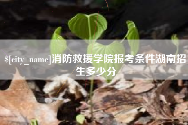 泸州消防救援学院报考条件湖南招生多少分