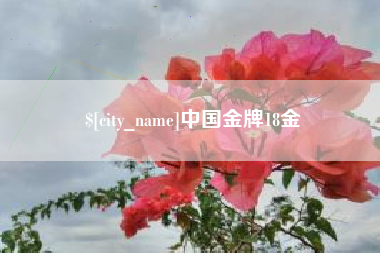 泸州中国金牌18金