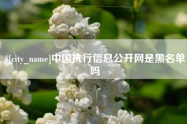 泸州中国执行信息公开网是黑名单吗