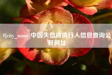 泸州中国失信被执行人信息查询公开网址