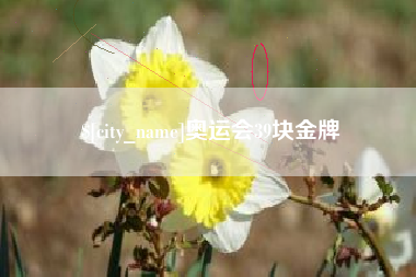 泸州奥运会39块金牌