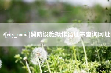 泸州消防设施操作员证书查询网址