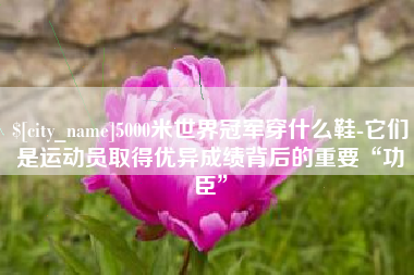 泸州5000米世界冠军穿什么鞋-它们是运动员取得优异成绩背后的重要“功臣”