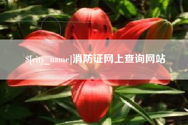 泸州消防证网上查询网站