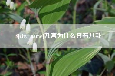 泸州九宫为什么只有八卦