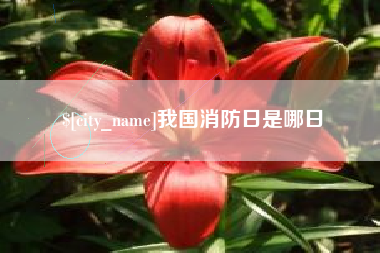 泸州我国消防日是哪日
