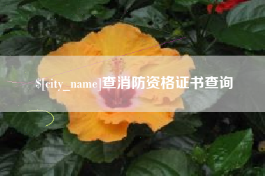泸州查消防资格证书查询