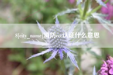 泸州消防ccc认证什么意思