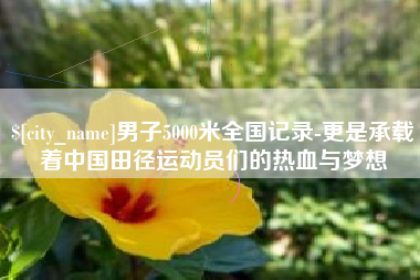 泸州男子5000米全国记录-更是承载着中国田径运动员们的热血与梦想