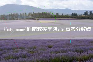 泸州消防救援学院2020高考分数线