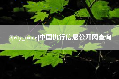 泸州中国执行信息公开网查询