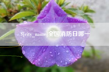 泸州全国消防日哪一