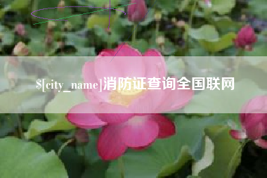 泸州消防证查询全国联网