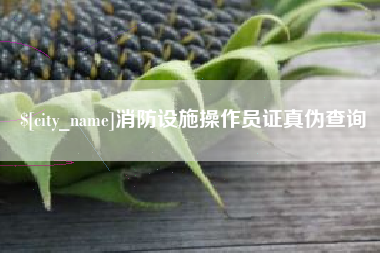 泸州消防设施操作员证真伪查询