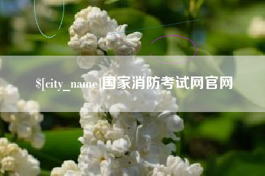 泸州国家消防考试网官网