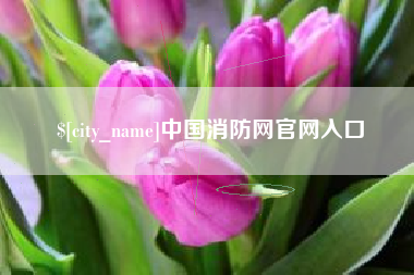 泸州中国消防网官网入口