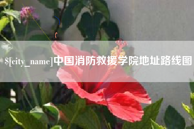 泸州中国消防救援学院地址路线图