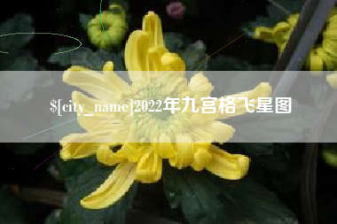 泸州2022年九宫格飞星图