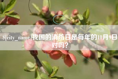 泸州我国的消防日是每年的11月9日对吗？