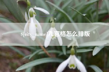 泸州九宫格怎么排版