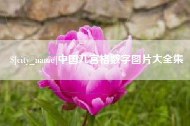 泸州中国九宫格数字图片大全集