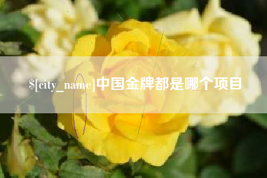 泸州中国金牌都是哪个项目