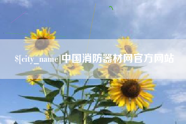 泸州中国消防器材网官方网站