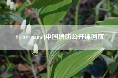 泸州中国消防公开课回放