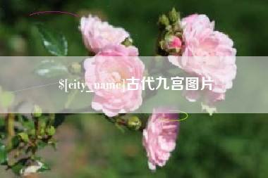 泸州古代九宫图片