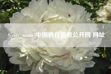 泸州中国执行信息公开网 网址