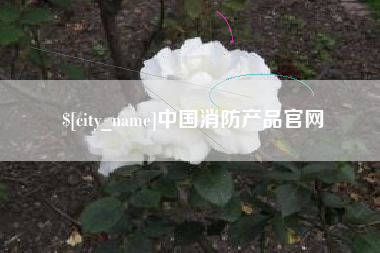 泸州中国消防产品官网