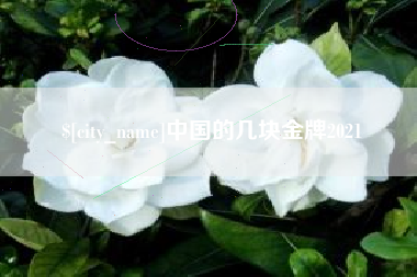 泸州中国的几块金牌2021