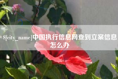 泸州中国执行信息网查到立案信息怎么办