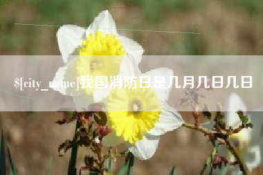 泸州我国消防日是几月几日几日