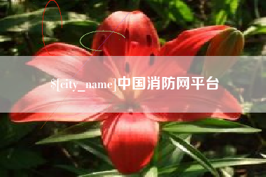 泸州中国消防网平台