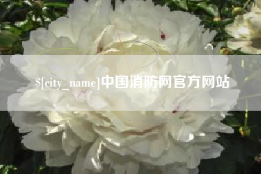 泸州中国消防网官方网站